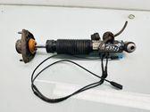 Rear shock absorber/damper