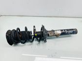 Front shock absorber with coil spring