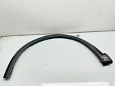 Fender trim (molding)