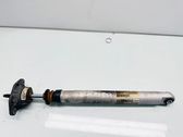 Rear shock absorber/damper