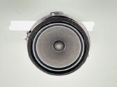 Rear door speaker