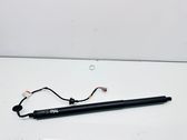 Tailgate/trunk strut/damper