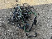 Other wiring loom