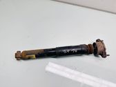 Stoßdämpfer hinten