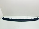 Front bumper lip