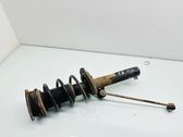 Front shock absorber with coil spring