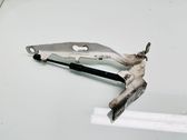 Engine bonnet/hood hinges