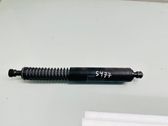 Tailgate/trunk strut/damper
