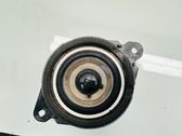 Panel speaker