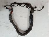 Cables de los inyectores de combustible