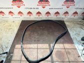 Front door rubber seal