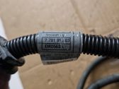 Engine installation wiring loom