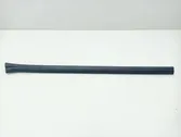Front door trim (molding)