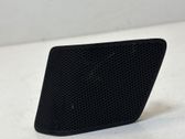 Panel speaker
