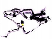 Front door wiring loom