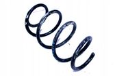 Front coil spring