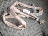 Airbag del techo