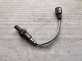 Sonde lambda
