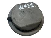Headlight/headlamp dust cover