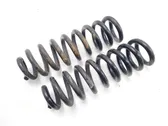 Rear coil spring