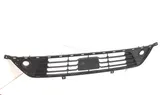 Front bumper lower grill