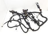 Faisceau de câblage pour moteur
