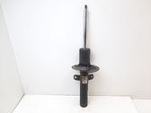 Front shock absorber/damper