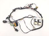 Cableado de puerta trasera