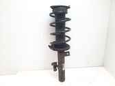 Front shock absorber with coil spring