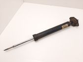 Stoßdämpfer hinten