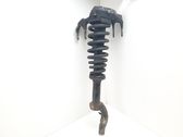 Front shock absorber with coil spring