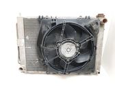 Radiator set