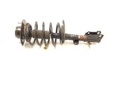 Front shock absorber with coil spring