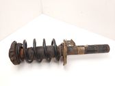 Front shock absorber with coil spring