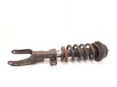 Front shock absorber with coil spring