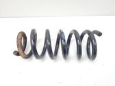 Front coil spring