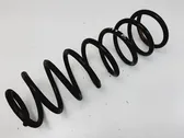 Front coil spring