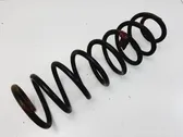 Front coil spring