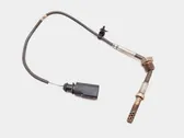 Exhaust gas temperature sensor