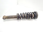 Rear shock absorber with coil spring