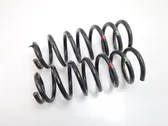 Rear coil spring