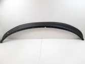 Front bumper lip