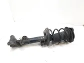 Front shock absorber with coil spring