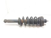 Rear shock absorber with coil spring