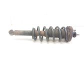 Rear shock absorber with coil spring
