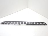 Front bumper lower grill