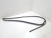 Rubber seal front door (on door)