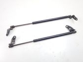 Front bonnet/hood damper/strut