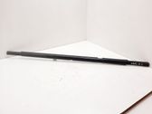 Rear door glass trim molding