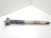 Rear shock absorber/damper